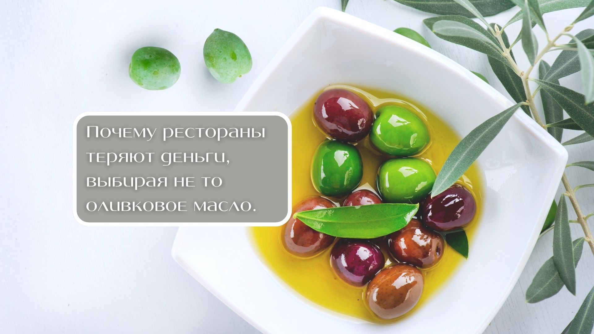 Почему рестораны теряют деньги, выбирая не то оливковое масло.