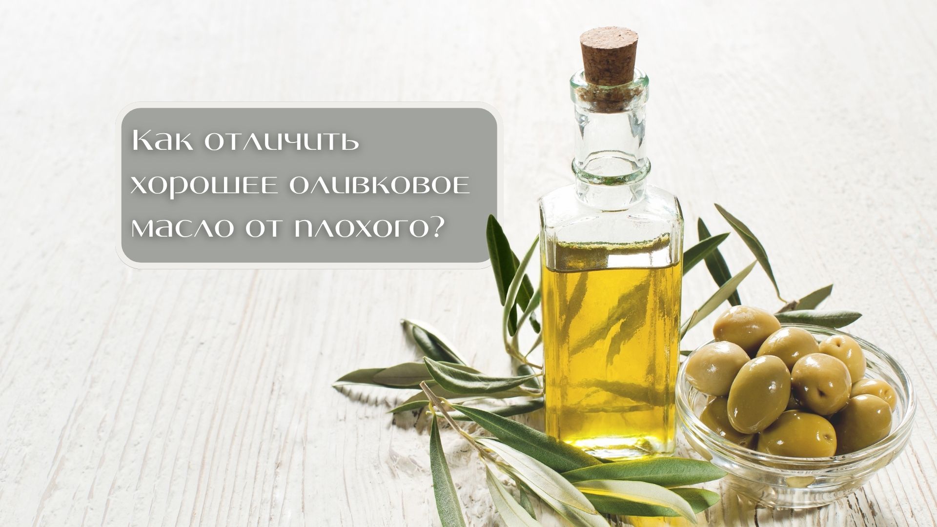 Как отличить хорошее оливковое масло от плохого?